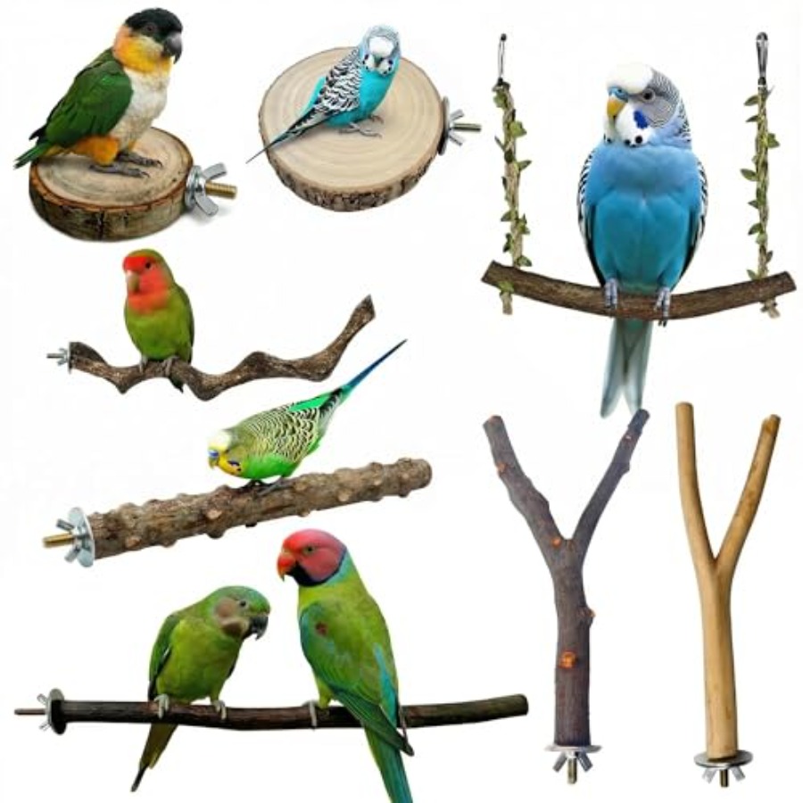 8PCS tempat bertengger burung  - Health & Wellness Lafayette ulasan dan harga